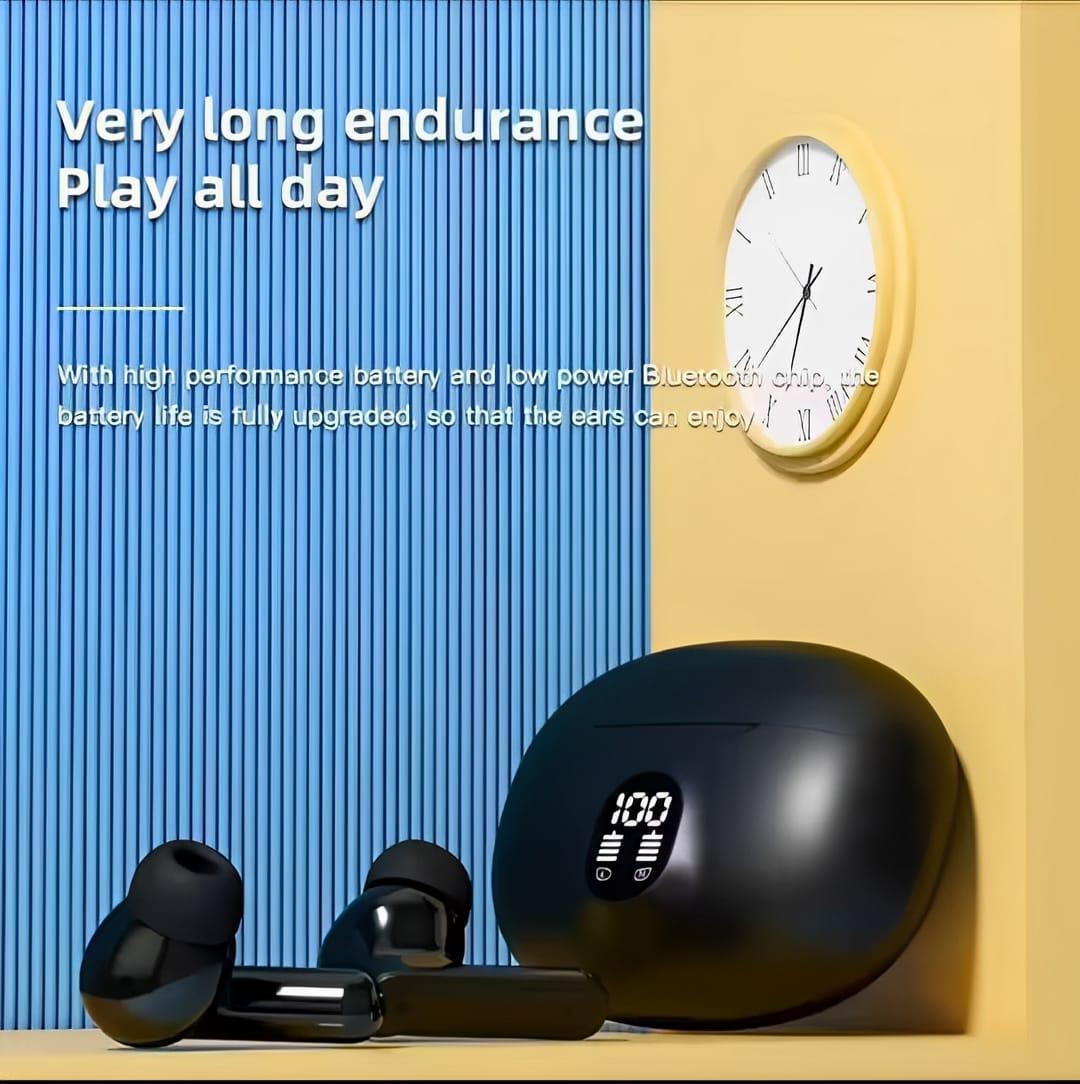 Premium Bluetooth 5.3 Earbuds with Charging Case