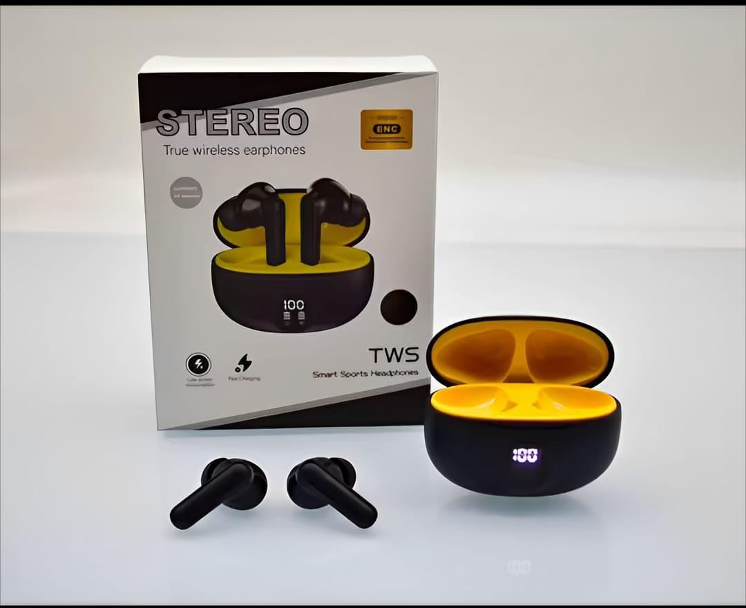 Premium Bluetooth 5.3 Earbuds with Charging Case